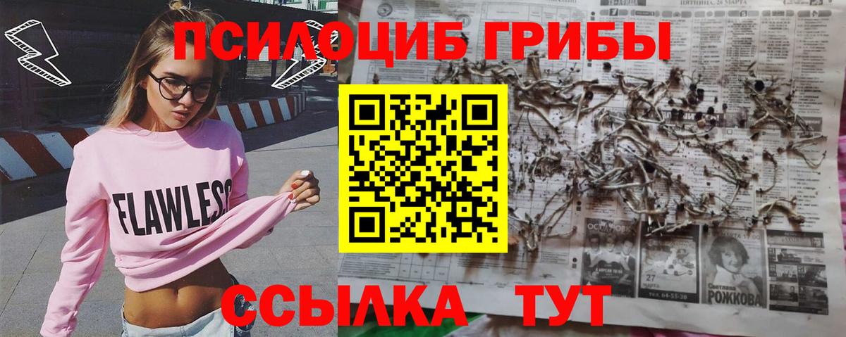 Приморско-Ахтарск  Псилоцибиновые грибы ЛСД  Вход с VPN 