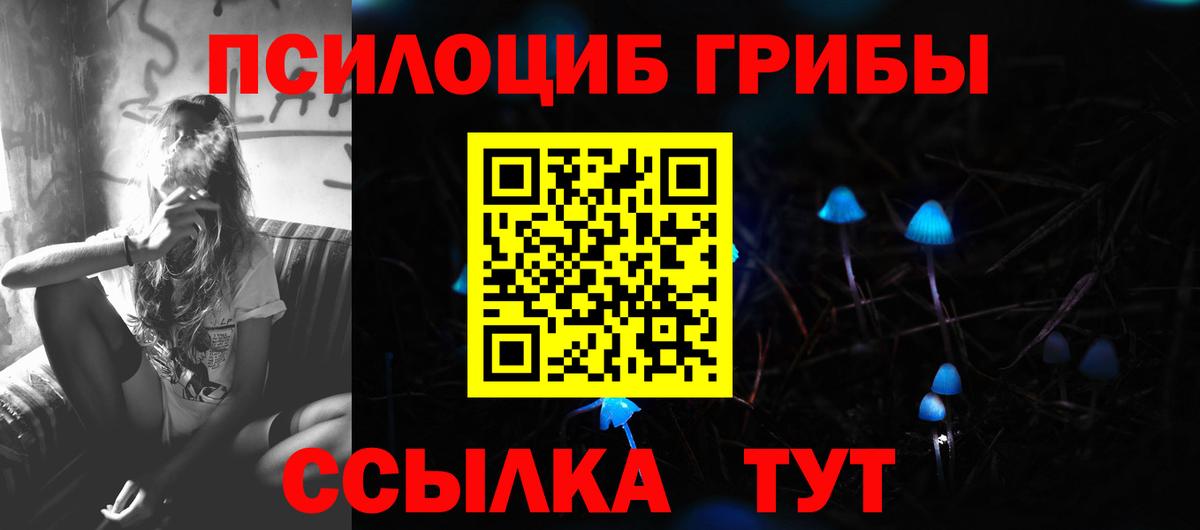 Галлюциногенные грибы прущие грибы Приморско-Ахтарск